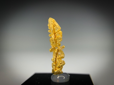 Gold & Quartz from Guelmim-Oued Noun Region, Morocco [db_pics/update7/ML00723a.jpg]