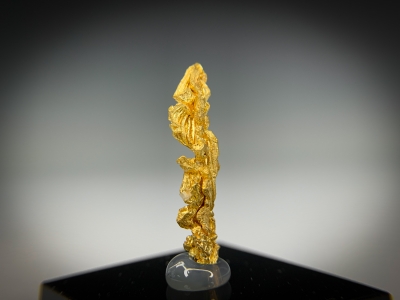 Gold & Quartz from Guelmim-Oued Noun Region, Morocco [db_pics/update7/ML00723b.jpg]