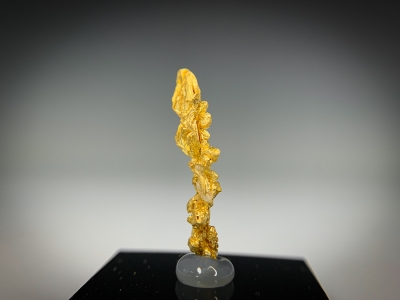Gold & Quartz from Guelmim-Oued Noun Region, Morocco [db_pics/update7/ML00723d.jpg]