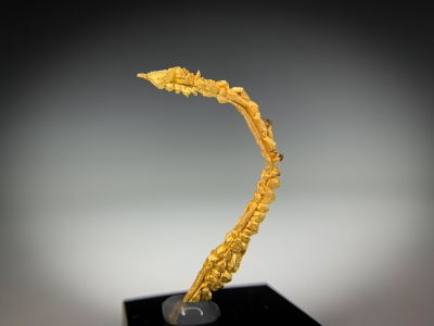 Gold from Guelmim-Oued Noun Region, Morocco [db_pics/update7/ML00724a.jpg]