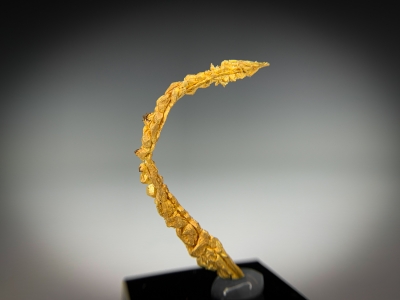 Gold from Guelmim-Oued Noun Region, Morocco [db_pics/update7/ML00724b.jpg]