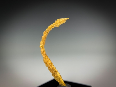 Gold from Guelmim-Oued Noun Region, Morocco [db_pics/update7/ML00724d.jpg]