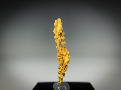 Gold from Guelmim-Oued Noun Region, Morocco [db_pics/update7/ML00725a.jpg]