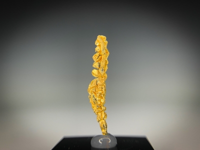 Gold from Guelmim-Oued Noun Region, Morocco [db_pics/update7/ML00725b.jpg]