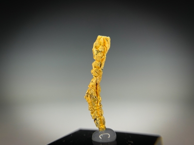 Gold from Guelmim-Oued Noun Region, Morocco [db_pics/update7/ML00725c.jpg]