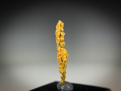 Gold from Guelmim-Oued Noun Region, Morocco [db_pics/update7/ML00725d.jpg]