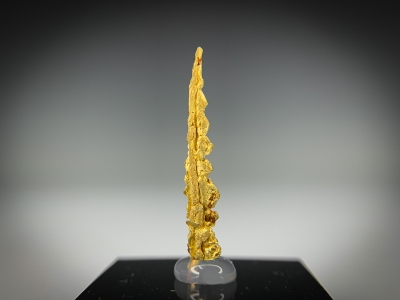 Gold from Guelmim-Oued Noun Region, Morocco [db_pics/update7/ML00727c.jpg]