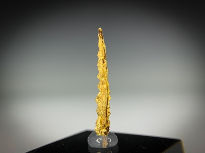 Gold from Guelmim-Oued Noun Region, Morocco [db_pics/update7/ML00727d.jpg]