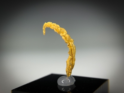 Gold from Guelmim-Oued Noun Region, Morocco [db_pics/update7/ML00728a.jpg]