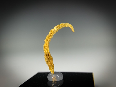 Gold from Guelmim-Oued Noun Region, Morocco [db_pics/update7/ML00728b.jpg]