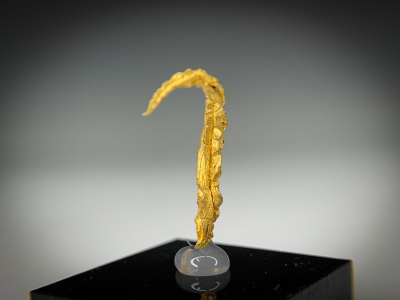 Gold from Guelmim-Oued Noun Region, Morocco [db_pics/update7/ML00728d.jpg]