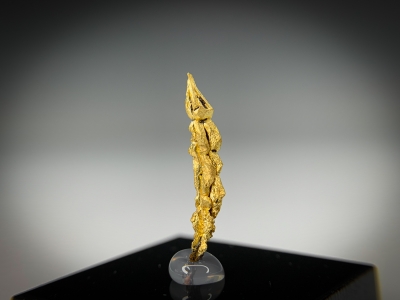 Gold from Guelmim-Oued Noun Region, Morocco [db_pics/update7/ML00729a.jpg]