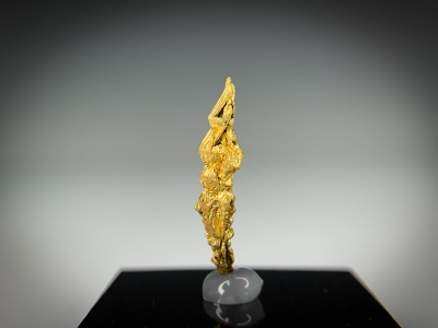 Gold from Guelmim-Oued Noun Region, Morocco [db_pics/update7/ML00729b.jpg]