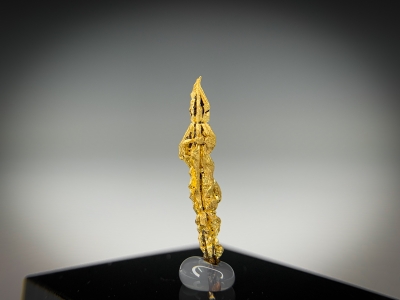 Gold from Guelmim-Oued Noun Region, Morocco [db_pics/update7/ML00729c.jpg]
