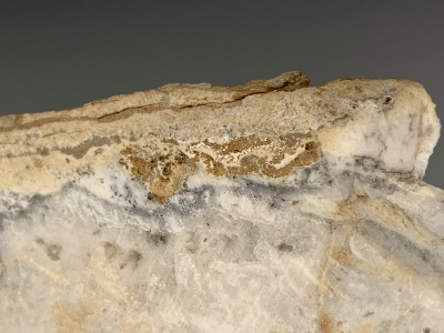 Gold from Silverbow, Siver Bow Mining District, Kawich Range, Nye County, Nevada, USA [db_pics/update7/ML00775d.jpg]