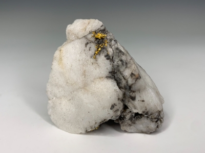 Gold in Quartz from Culpepper Mine, Richardson, Culpepper County, Virginia, USA [db_pics/update7/ML00777a.jpg]