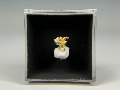 Gold from San Pedro Mine, Santa Fe County, New Mexico, USA [db_pics/update7/ML00778a.jpg]