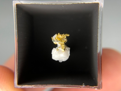 Gold from San Pedro Mine, Santa Fe County, New Mexico, USA [db_pics/update7/ML00778b.jpg]