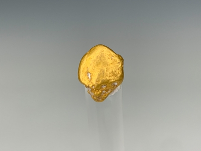 Gold from California Gulch, Leadville, Lake County, Colorado, USA [db_pics/update7/ML00780b.jpg]