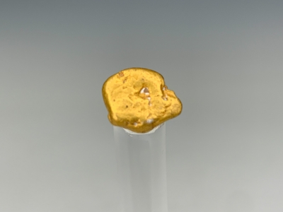 Gold from California Gulch, Leadville, Lake County, Colorado, USA [db_pics/update7/ML00780d.jpg]