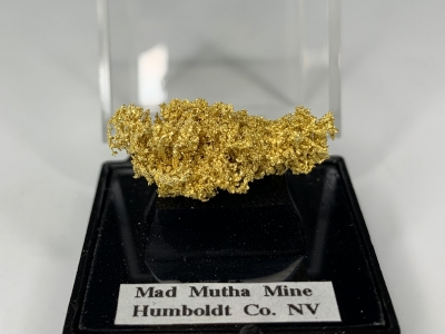 Gold from Mad Mutha Mine, 10 Mile District, Humboldt County, Nevada, USA [db_pics/update7/ML00781a.jpg]