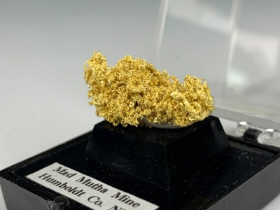 Gold from Mad Mutha Mine, 10 Mile District, Humboldt County, Nevada, USA [db_pics/update7/ML00781b.jpg]