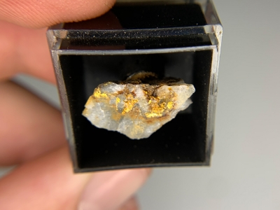 Gold from North Columbia, California, USA [db_pics/update7/ML00784b.jpg]