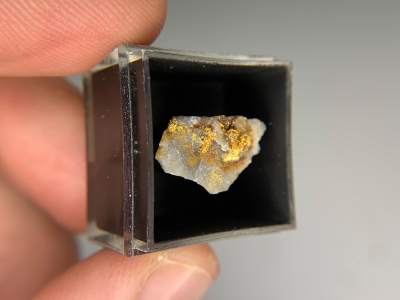 Gold from North Columbia, California, USA [db_pics/update7/ML00784c.jpg]