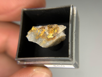 Gold from North Columbia, California, USA [db_pics/update7/ML00784d.jpg]
