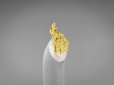 Gold from Krum Hills, Humboldt County, Nevada, USA [db_pics/update7/ML00786b.jpg]