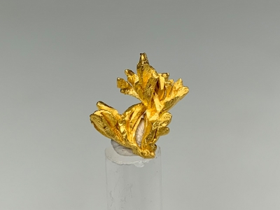 Gold from El Pauji, Gran Sabana, Venezuela [db_pics/update7/ML00787a.jpg]