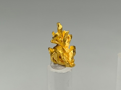 Gold from El Pauji, Gran Sabana, Venezuela [db_pics/update7/ML00787b.jpg]