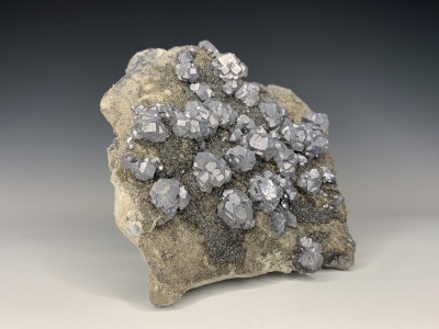 Galena on Sphalerite from Baxter Springs, Cherokee County, Kansas, USA [db_pics/update7/ML00800b.jpg]