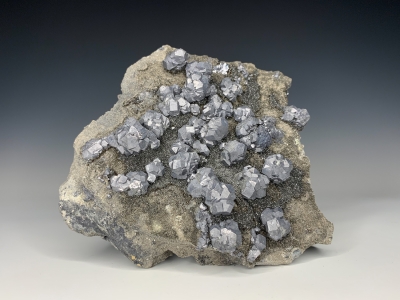 Galena on Sphalerite from Baxter Springs, Cherokee County, Kansas, USA [db_pics/update7/ML00800c.jpg]