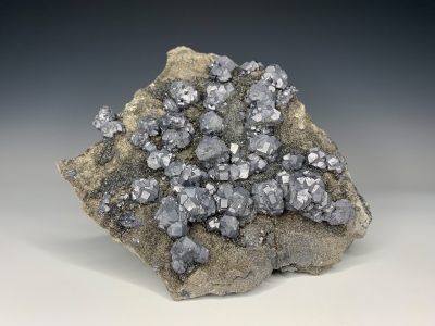 Galena on Sphalerite from Baxter Springs, Cherokee County, Kansas, USA [db_pics/update7/ML00800d.jpg]