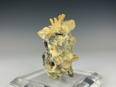 Cerussite, Smithsonite & Mimetite from Tsumeb Mine, Oshikoto Region, Namibia [db_pics/update7/ML00818b.jpg]