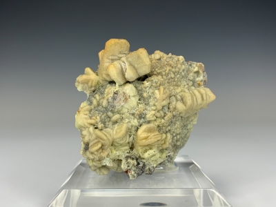 Cerussite, Smithsonite & Mimetite from Tsumeb Mine, Oshikoto Region, Namibia [db_pics/update7/ML00818c.jpg]