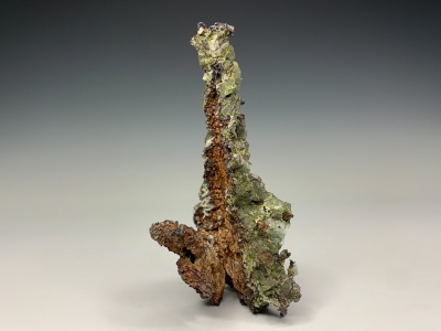 Silver & Epidote from Lake Superior District, Keweenaw Peninsula, Michigan, USA [db_pics/update7/ML00825d.jpg]