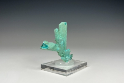 Chrysocolla ps. Azurite from Pearl Handle Pit, Ray Mine, Pinal County, Arizona, USA [db_pics/update7/ML00919d.jpg]