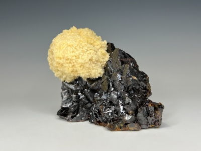 Barite on Sphalerite from Elmwood Mine, Carthage, Smith County, Tennessee, USA [db_pics/update7/ML00939d.jpg]