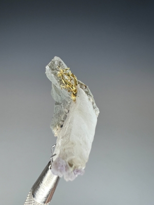 Gold & Quartz var. Amethyst from Olinghouse Mine, Pah Rah Range, Washoe County, Nevada, USA [db_pics/update7/ML00943d.jpg]