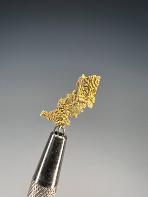 Gold from Round Mountain Mine, Toquima Range, Nye County, Nevada, USA [db_pics/update7/ML00944a.jpg]