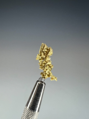 Gold from Round Mountain Mine, Toquima Range, Nye County, Nevada, USA [db_pics/update7/ML00944d.jpg]