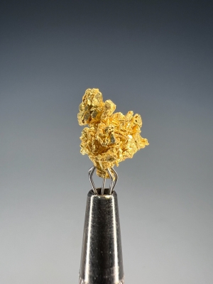 Gold from Round Mountain Mine, Toquima Range, Nye County, Nevada, USA [db_pics/update7/ML00945b.jpg]