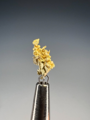 Gold from Round Mountain Mine, Toquima Range, Nye County, Nevada, USA [db_pics/update7/ML00947d.jpg]