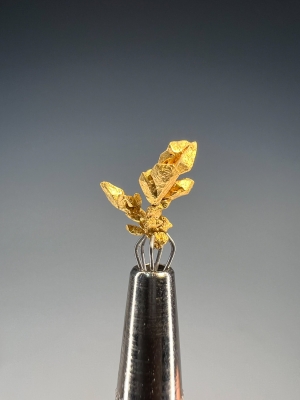 Gold from El Pauji, Gran Sabana, Venezuela [db_pics/update7/ML00948a.jpg]