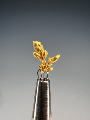 Gold from El Pauji, Gran Sabana, Venezuela [db_pics/update7/ML00948b.jpg]