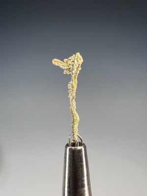 Gold from Round Mountain Mine, Toquima Range, Nye County, Nevada, USA [db_pics/update7/ML00950a.jpg]