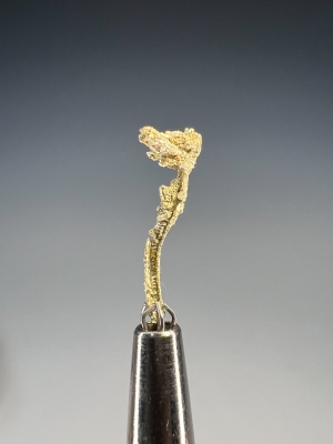 Gold from Round Mountain Mine, Toquima Range, Nye County, Nevada, USA [db_pics/update7/ML00950c.jpg]