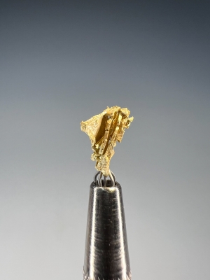 Gold from Round Mountain Mine, Toquima Range, Nye County, Nevada, USA [db_pics/update7/ML00952c.jpg]